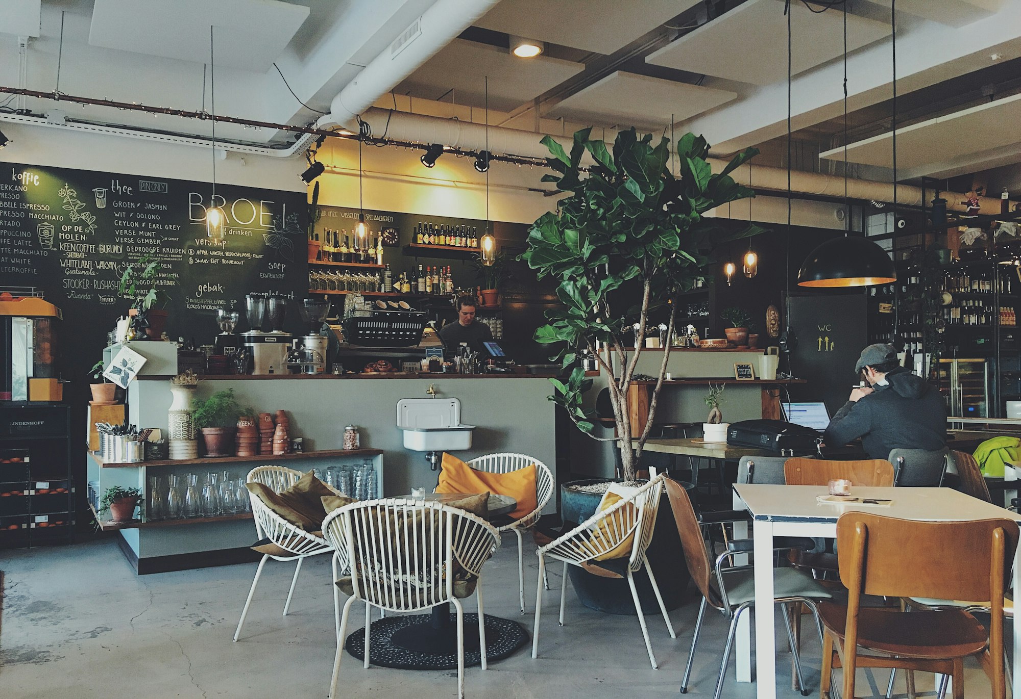 Inside Fern & Foundry: sunlight across a wooden counter, an espresso machine, and stools by the window